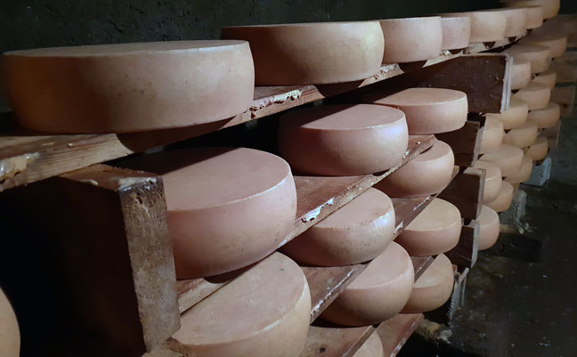 Cave fromage savoyard