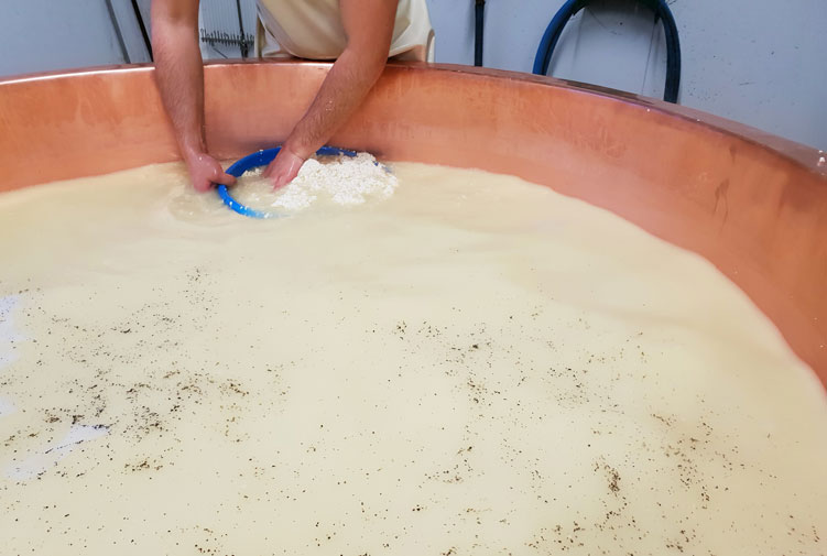 Lavage lait en grain